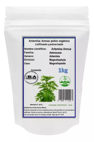 500 Semillas Orgánicas De Artemisia Annua, Ajenjo Dulce