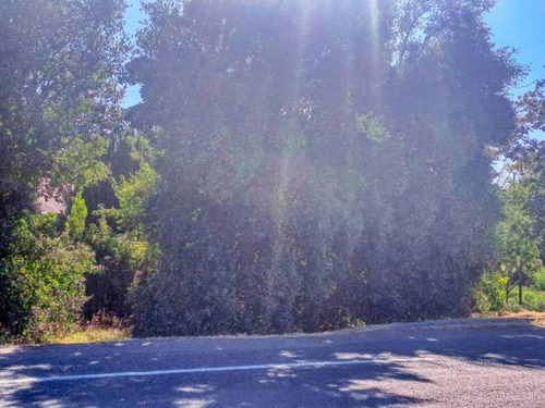 Terreno En Venta En Yerbas Buenas - Excelente