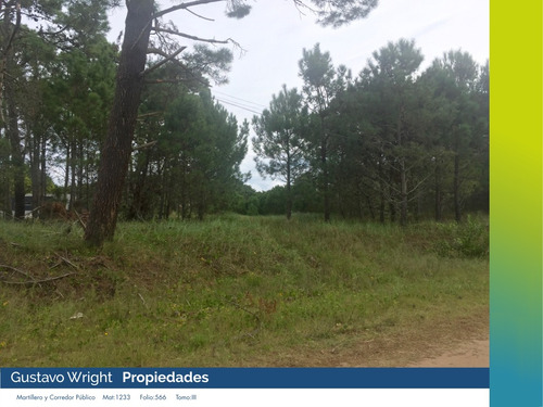 Lote En Pinamar En Venta