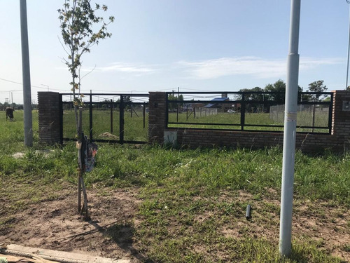 Imagen 7 de 21 de Ecopueblo - Lote 65 - 300 M2