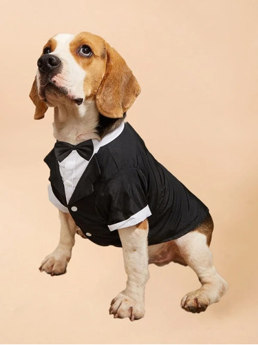 Traje Formal Ropa Elegante Para Mascotas 