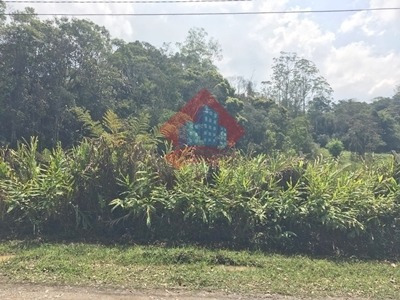 Imagem 2 de 4 de Terreno - Ref: 02819