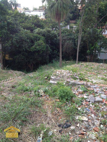 Imagem 6 de 10 de Terreno Residencial À Venda, Jardim Prudência, São Paulo. - Te0030