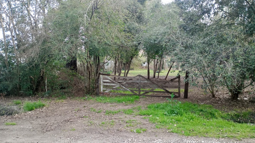 Lotes En Fátima