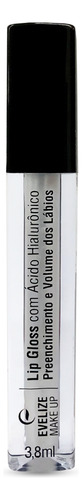 Lip Gloss Evelize Make Up
