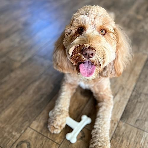 Simpledog Doggie Dooley T-bone Juguete Masticable Para Perro