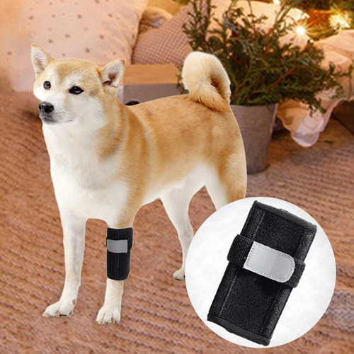 Soporte Para Patas Delanteras De Perro, Soporte Carpiano, S