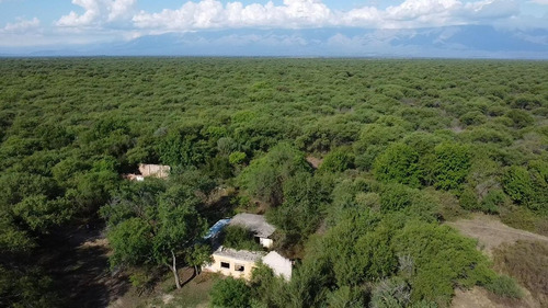 Campo De 50 Hectareas En Venta En Conlara, Traslasierra!!
