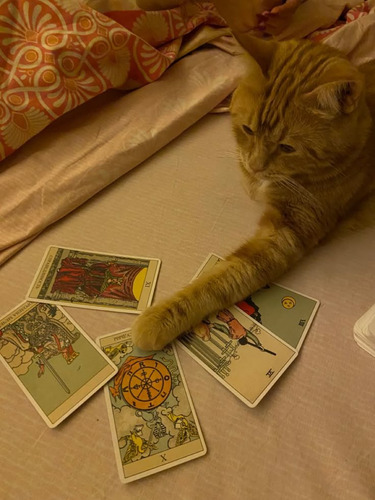 Consulta De Tarot