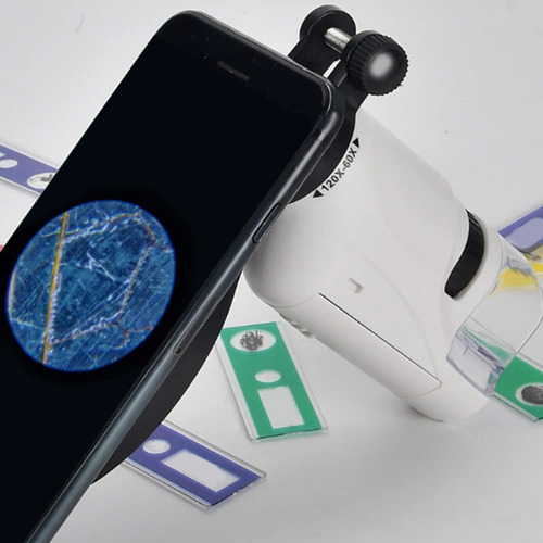 Microscópio portátil Mdhpklaur, mini microscópio portátil de bolso HD com lâmpada LED biológica, brinquedos educativos para crianças