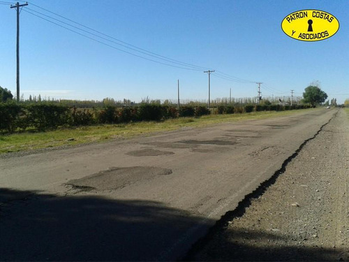 1882sa-lote De 5.000 M2 En San Rafael Mendoza