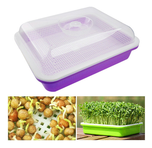 Bandeja De Germinación De Semillas, Conjunto Violeta