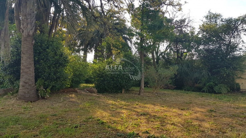 Imagen 13 de 20 de Casa En Venta En Maldonado, Punta Del Este