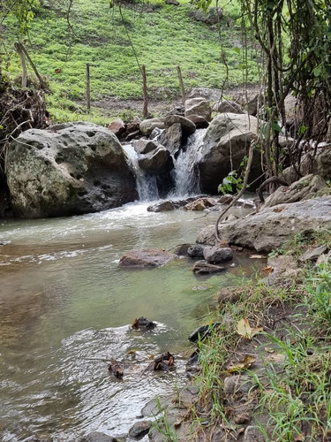 Imagen 11 de 14 de En Venta Hermosa Granja Sector Los Ranchos Vías Las Guamas