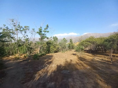 Parcela 4400 Mts, Comunidad Lo Cañas