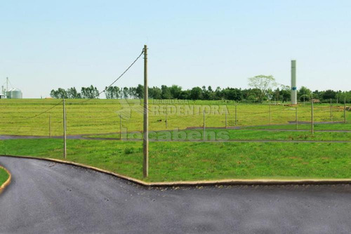 Imagem 5 de 7 de Terrenos - Ref: V11820