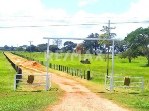 Imagen 12 de 15 de Finca En Venta Vía El Sur. Maturín (1)
