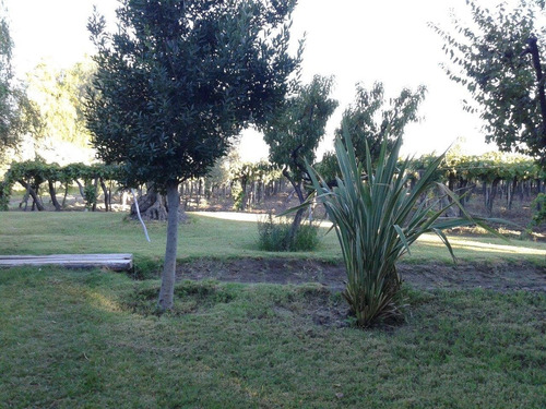 Imagen 7 de 10 de 40 Has. En Los Campamentos