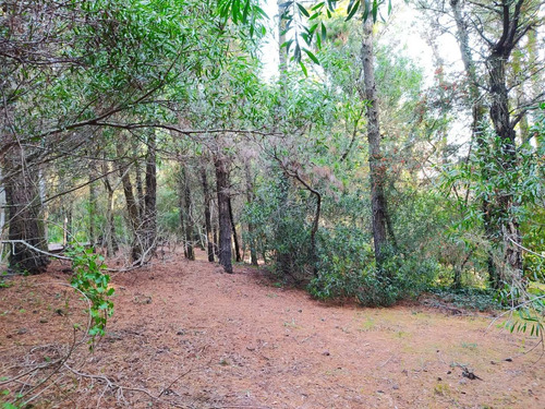 Imagen 2 de 6 de Lote En Venta Mar De Las Pampas 675 M2 Con Salida A 3 Calles