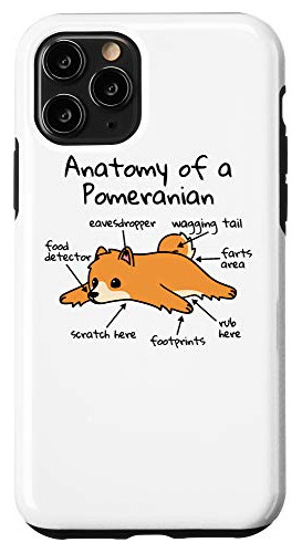 Funda Para iPhone 11 Pro Anatomía De Un Perro De Pomerania -