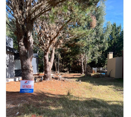 Imagen 3 de 10 de Lote En Venta