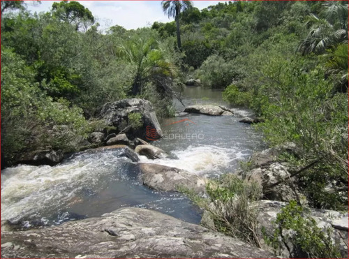 Chacra A La Venta En Maldonado A 49 Km De Punta Del Este, Con Cañadas Y Palmeras