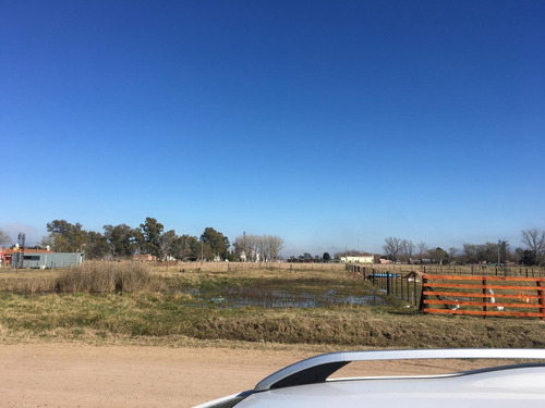 Imagen 9 de 11 de Terreno 20x50 En Tres Sargentos, Carmen De Areco
