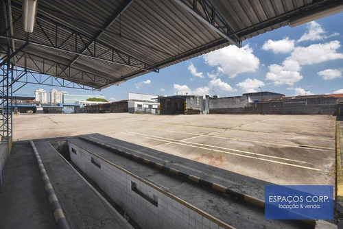 Imagem 5 de 18 de Prédio Comercial Para Alugar, 1545m² - Lapa - São Paulo/sp - Pr0153