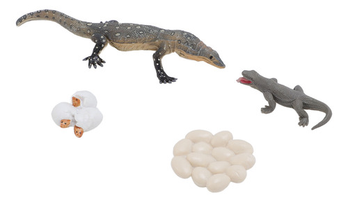 Juego De Figuras De Lagarto, 4 Piezas, Juguetes Educativos D