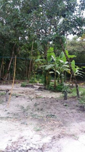 Chácara C/ Árvores Frutíferas No Bopiranga-itanhaém 4292 Npc