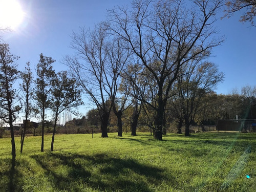 Imagen 4 de 9 de Venta. Terreno. Roldan. Barrio Las Tardes. Pavimento -luz, Gas Y Agua Corriente. Mejor Precio!!!