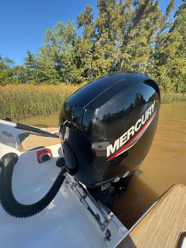 Eclipse 21 Cuddy. Mercury 150