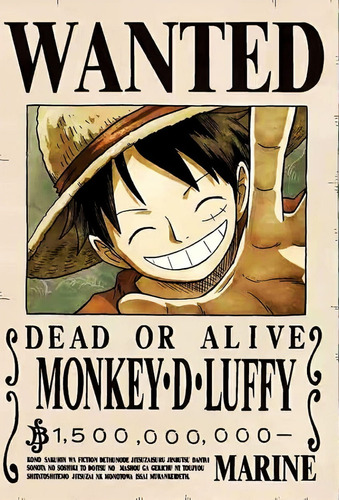 10 Poster One Piece Wanted Anime 13 X 18 Cm