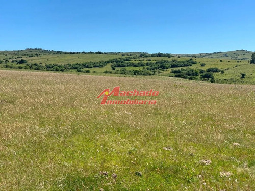 Imagen 2 de 6 de Venta De Chacra De 5 Hectareas Y Media En Pueblo Eden