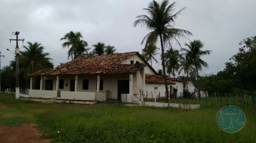 Imagem 10 de 15 de Fazenda Com Rio Maxaranguape Dentro - V-8846