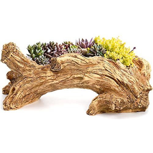 Hiceeden Maceta Artificial Para Suculentas De Madera Flotant