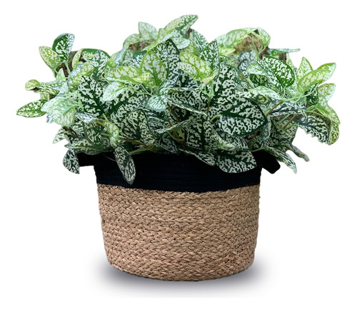 Ramo Planta Artificial Maceta Parque Deco Interior Pack X6u.