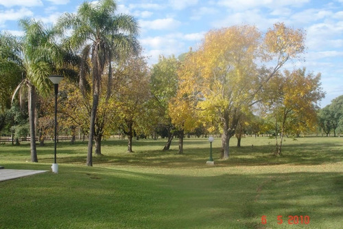 Imagen 24 de 30 de Quinta Cítrica 190 Has. Federacion - Entre Rios
