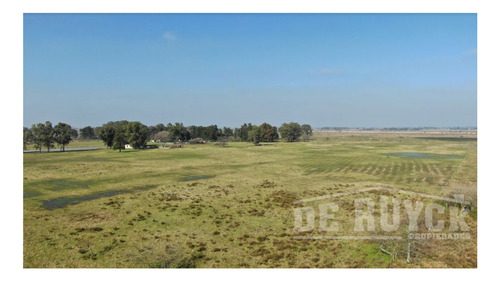 Imagen 7 de 7 de Campo En Venta En San Vicente