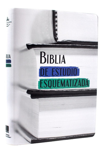 Biblia De Estudio Esquematizada Reina Valera 1960 - Gris