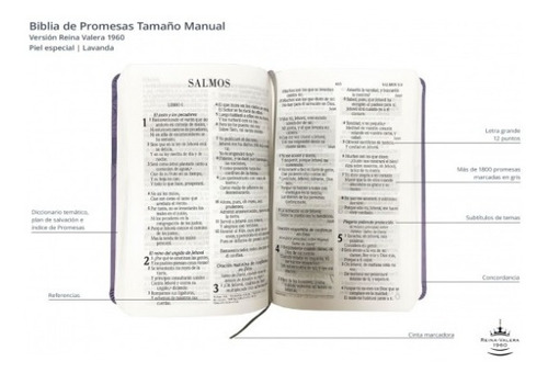 Biblia De Promesas Rvr 1960 Letra Grande - Imitacion Piel