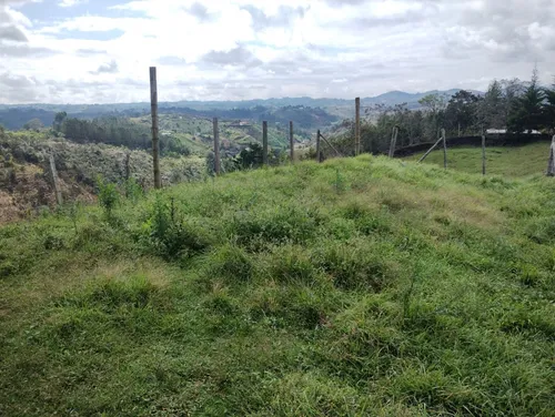 Finca En Guarne Ovejas