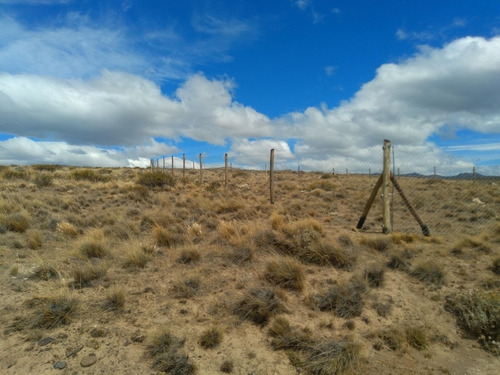 Imagen 6 de 6 de Lote Terreno En El Calafate