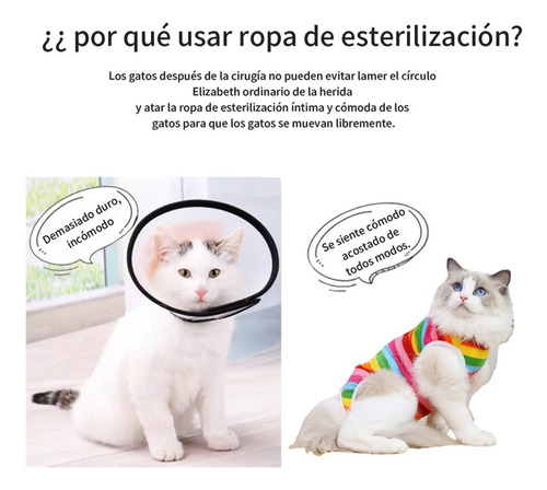 Traje De Recuperación Cirugía Para Perro Gato Esterilización
