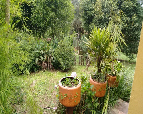 Chácara 3.500 M² - Palermo - Gravataí - Rs - 1080 - 32419601