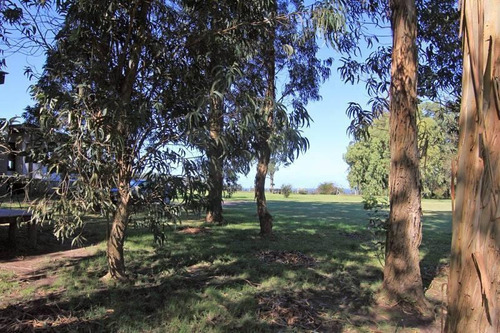 Chacra - Balneario Buenos Aires
