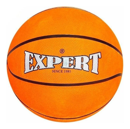 Pelota De Basketball Expert Nº5 De Goma Basquetbol Color Naranja