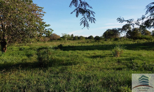 Imagem 17 de 30 de Lotes A Venda Novo Condomínio Horizontal Em Macaíba, Bosque