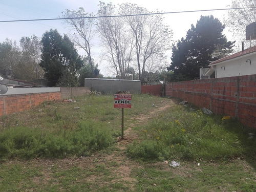 Lote 323 M2