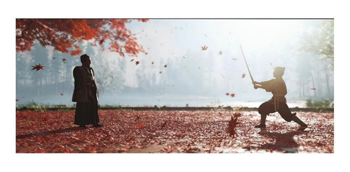 Imagen 4 de 5 de Ghost of Tsushima Ghost of Tsushima Director's cut Sony PS4 Físico